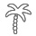 Palm Tree